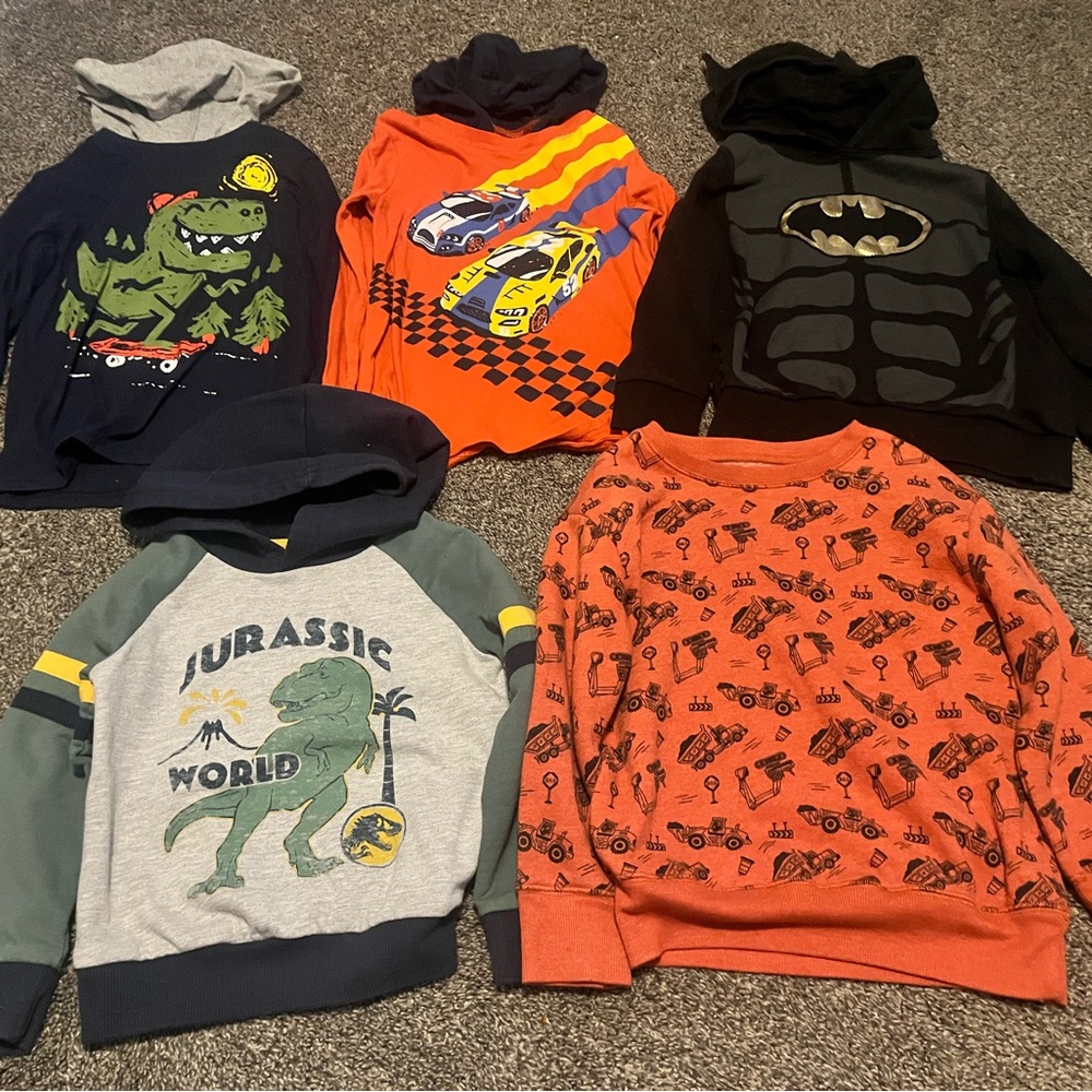 Boy Hoodie Sweatshirt Lot of 5 Batman Dinosaur Hooded Fleece Size 4T